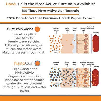 Nanocur Turmeric Curcumin 90 count bottle