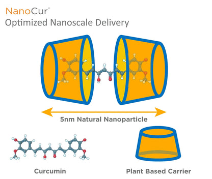 NanoCur optimized delivery system showing enhanced curcumin bioavailability