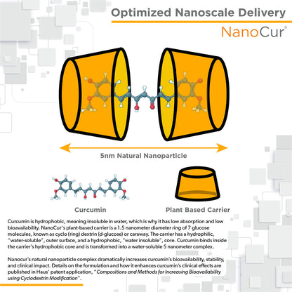 Nanocur Turmeric Curcumin 90 count bottle
