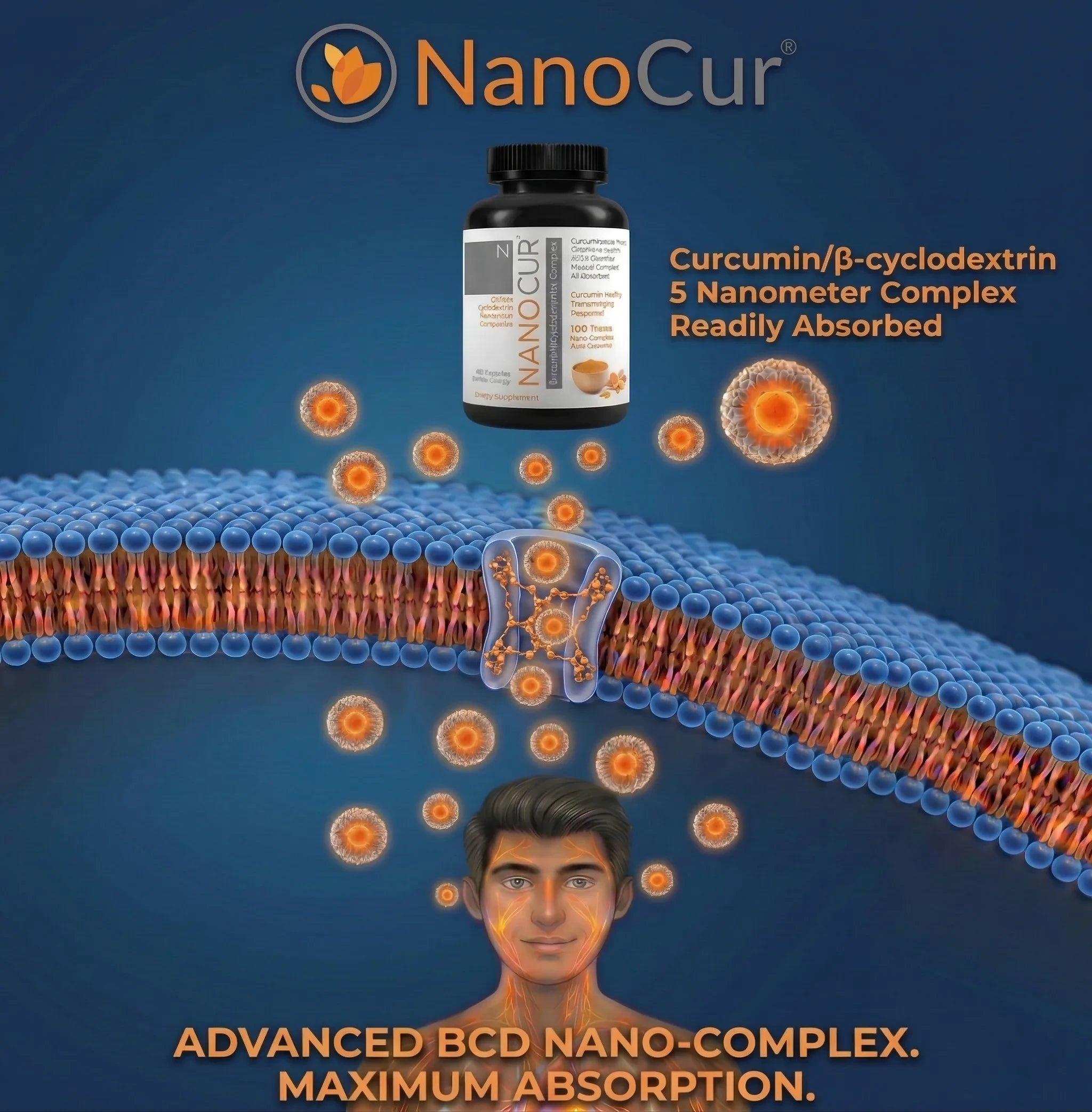 NanoCur 5 nanometer β-cyclodextrin complex passing through intestinal cell membrane — Advanced BCD Nano-Complex, Maximum Absorption